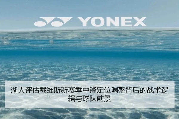 湖人评估戴维斯新赛季中锋定位调整背后的战术逻辑与球队前景